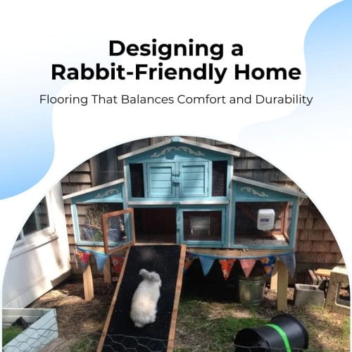 Designing Rabbit Friendly Home Flooring